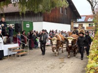 http://leonhardiritt-preisendorf.de/files/gimgs/th-43_140d7c7f-f8d7-4e1d-8e69-97e1450435ef_v2.jpg